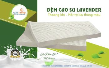 Đệm cao su thiên nhiên Everhome Lavender